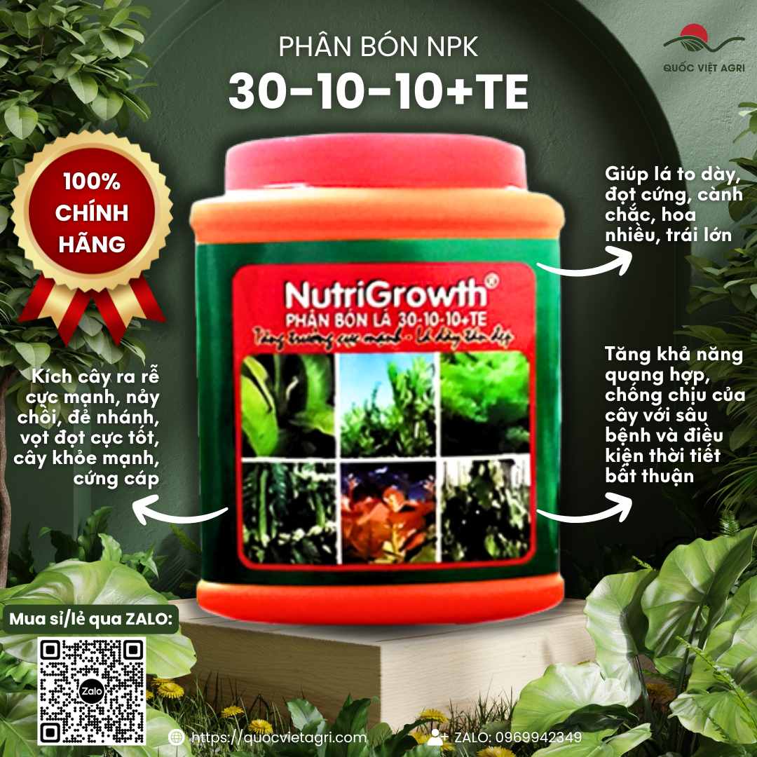 Hủ phân bón NutriGrowth 30-10-10+TE 500g, với thiết kế bao bì chuyên nghiệp, làm nổi bật công dụng bung đọt, xanh lá.