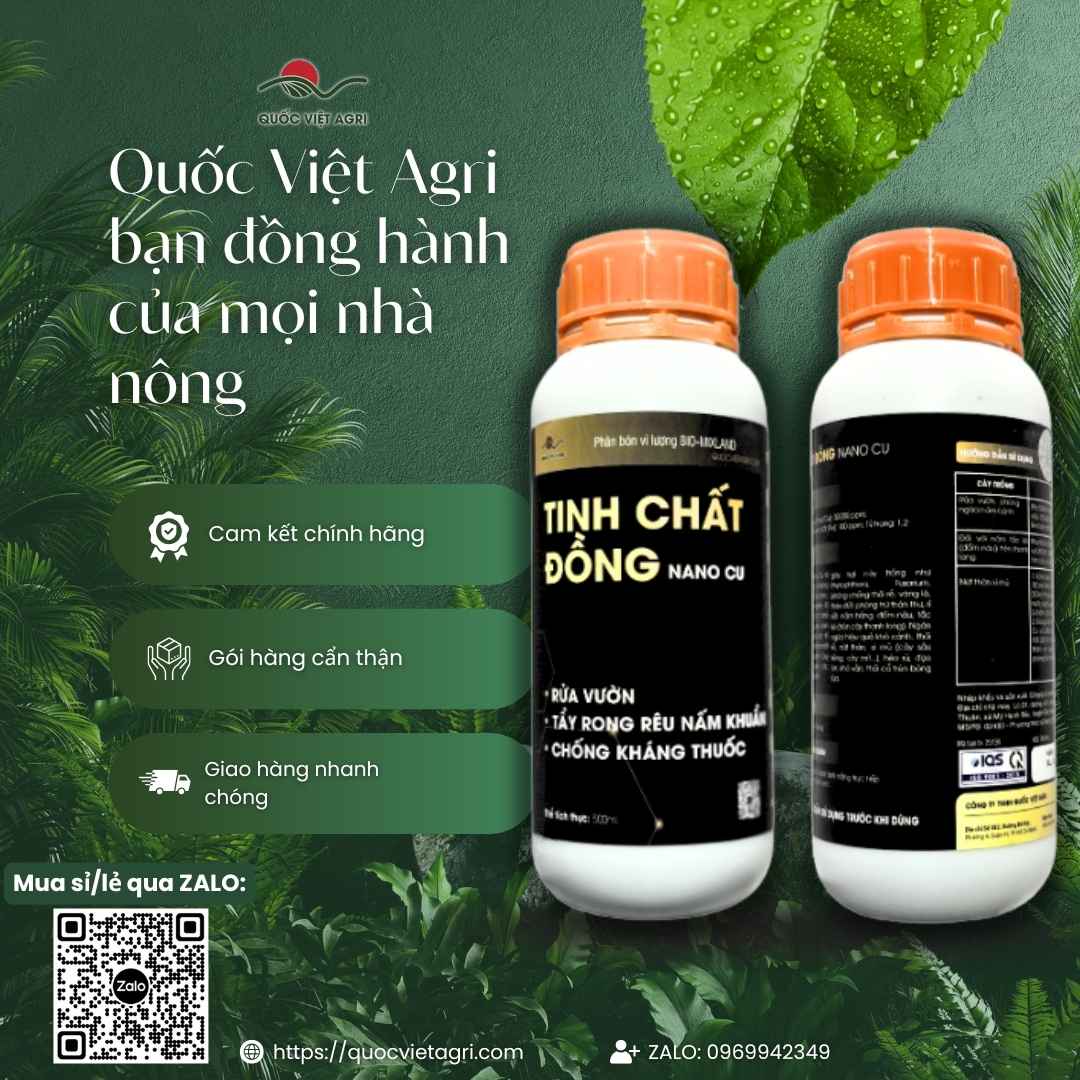 Ảnh toàn diện chai Tinh Chất Đồng Nano Cu 500ml dùng rửa vườn trị nấm.