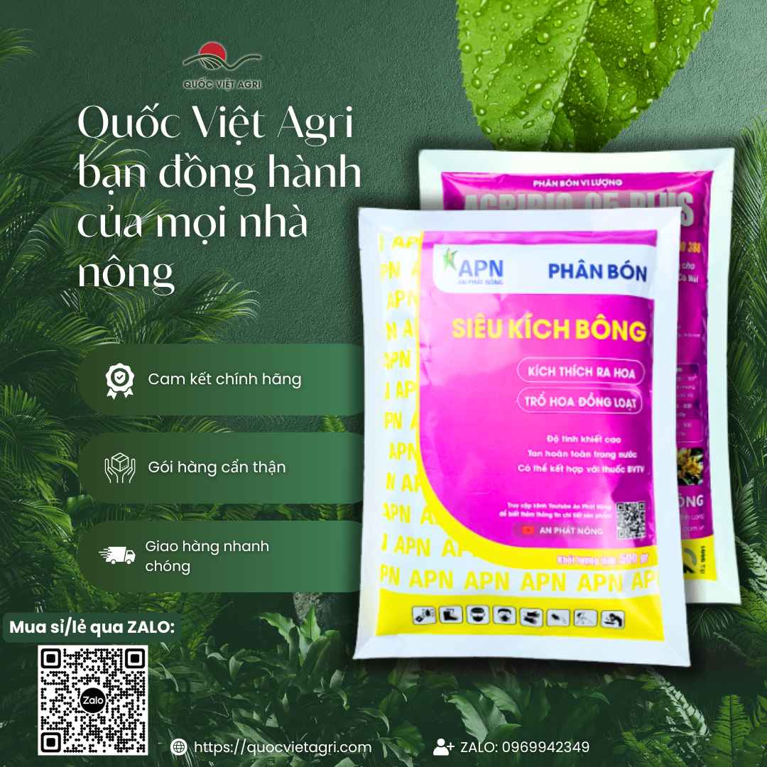 Ảnh toàn diện kèm bảng thành phần Kẽm, Mangan, Bo giúp kích hoa đồng loạt.