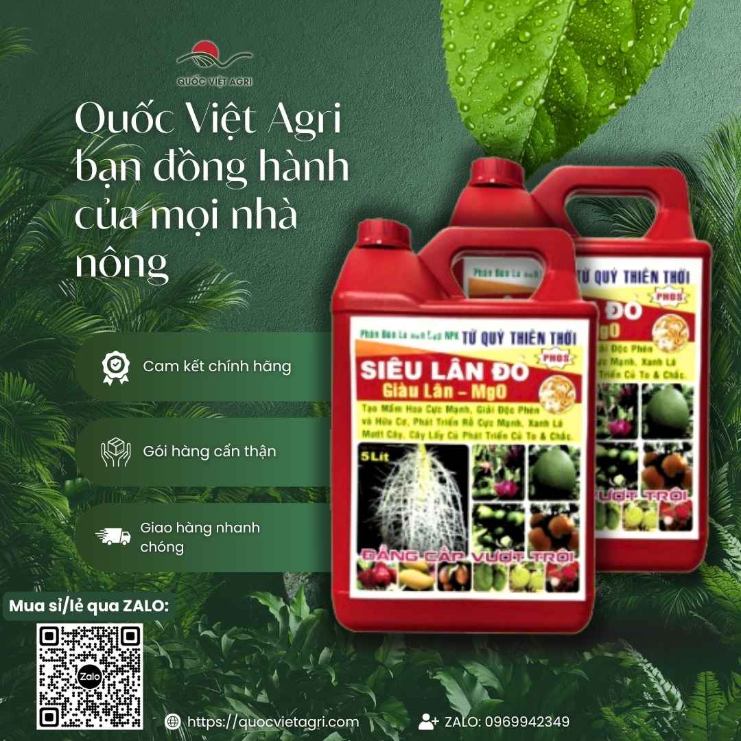 Mặt sau Can Siêu Lân Đỏ Tứ Quý 5 Lít với thông tin thành phần Lân 25%, Magie 10% và hướng dẫn sử dụng cho lúa, cây ăn trái.