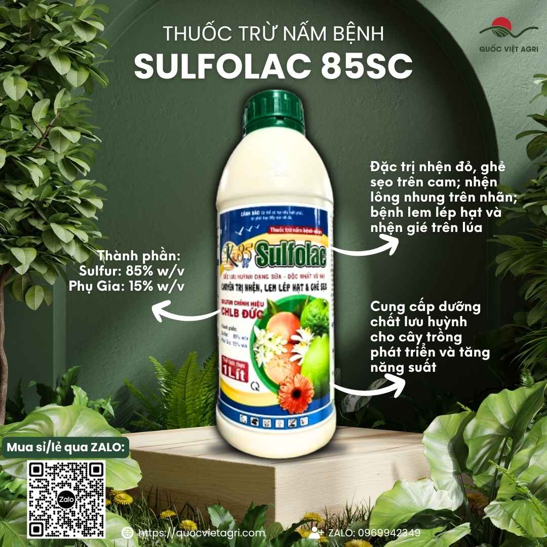 Mặt trước chai thuốc trừ bệnh OK SULFOLAC 85SC 1L, chứa Sulfur 85% từ Đức, đặc trị nhện đỏ, ghẻ sẹo, lem lép hạt.