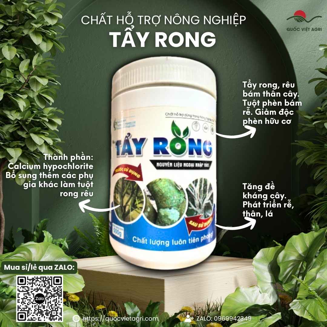 Mặt trước hủ bột Tẩy Rong Rêu 500g, chuyên dùng để tẩy rong rêu thân cây, sân gạch, sản phẩm chính hãng của Quốc Việt Agri.