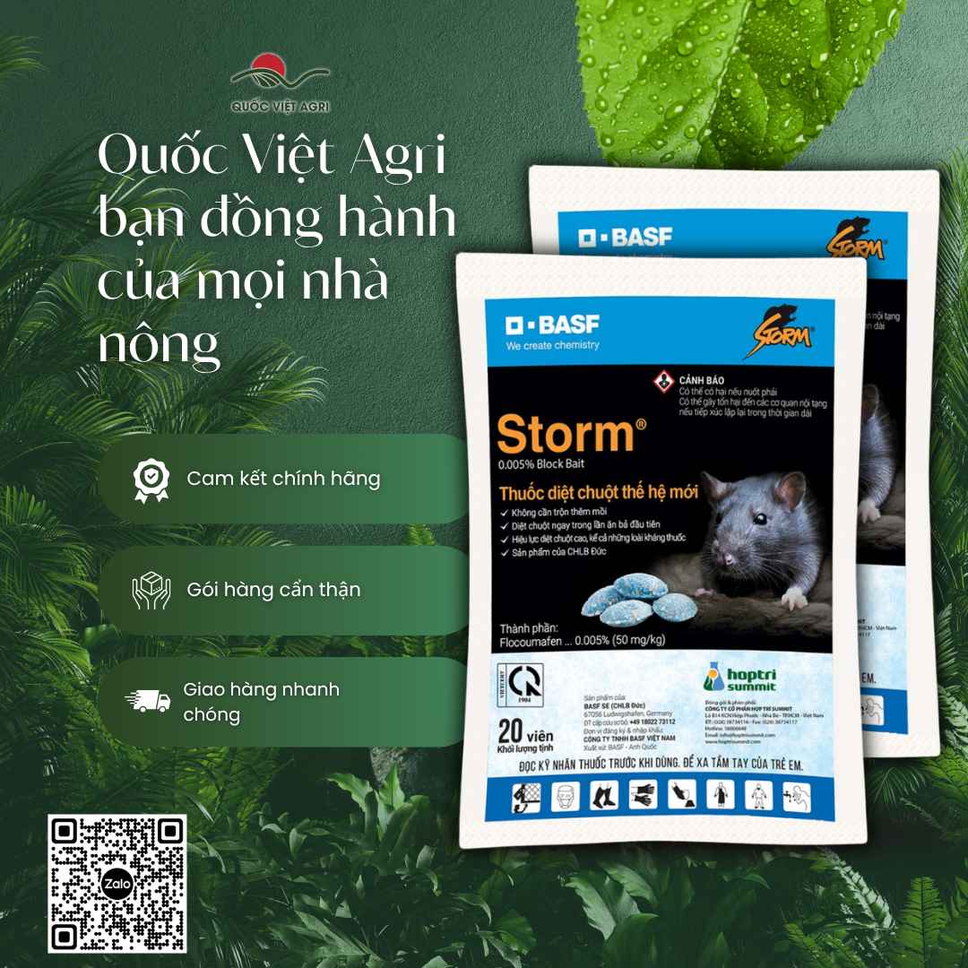 Hai gói bả diệt chuột Storm BASF 20 viên, Quốc Việt Agri cam kết chính hãng và giao hàng nhanh