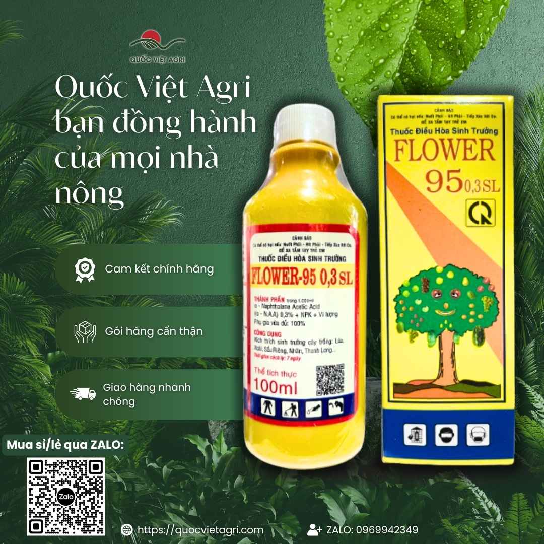 Mặt sau chai Flower 95 với thông tin thành phần $\alpha$-NAA và hướng dẫn sử dụng giâm chiết cành, chống rụng trái.