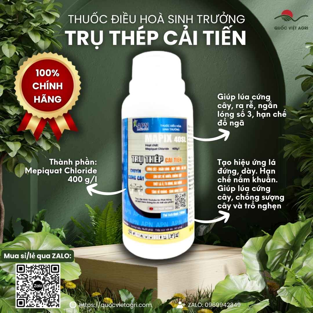 Mặt trước chai thuốc điều hòa sinh trưởng Trụ Thép Cải Tiến 240ml, chuyên dùng để chống đổ ngã lúa, sản phẩm chính hãng An Phát Nông.