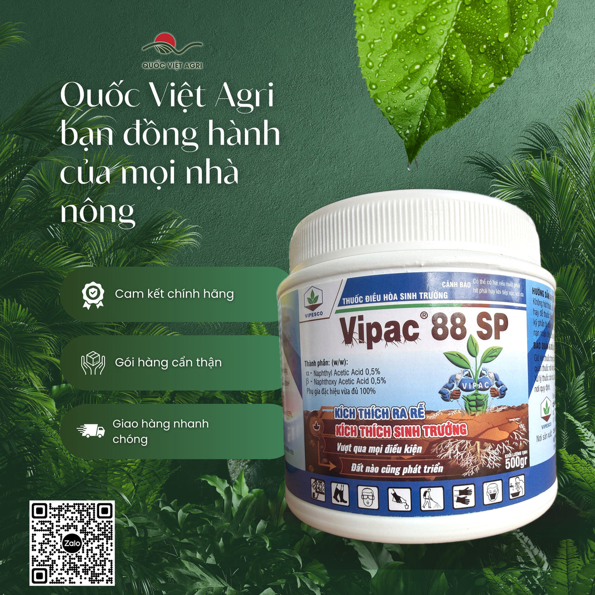 Thuốc điều hoà sinh trưởng Vipac 88 SP hũ 500g – Vipesco – phân phối chính hãng bởi Quốc Việt Agri