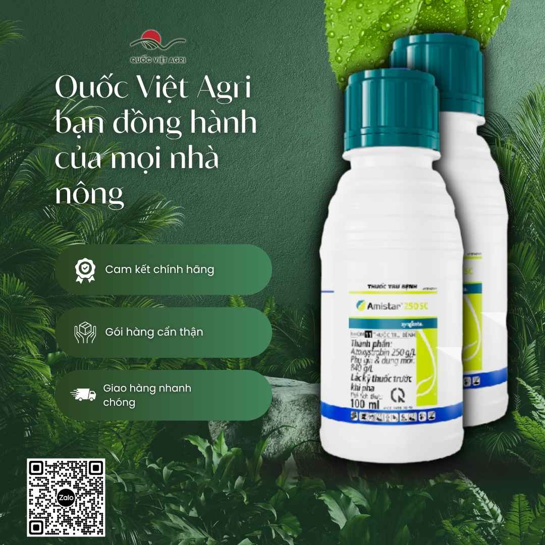 Bảng thành phần Azoxystrobin 250g/l mặt sau chai Amistar 100ml.