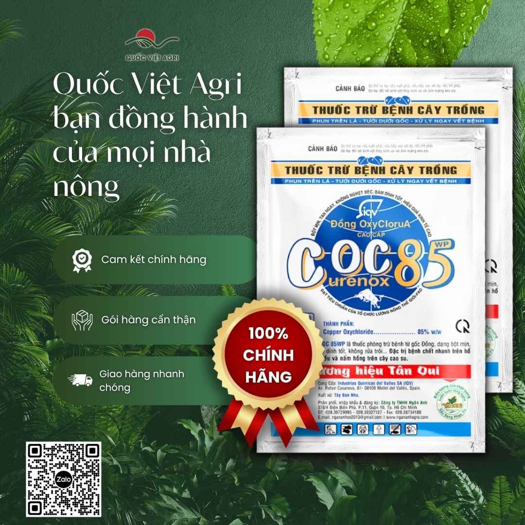 Ảnh toàn diện gói thuốc trừ bệnh COC 85 (Curenox OC 85WP) 20g, gốc Đồng, đặc trị thán thư, nấm hồng, chết nhanh.