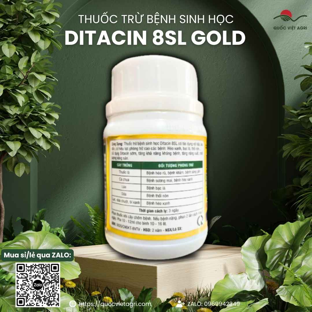 Mặt sau chai thuốc trừ bệnh sinh học Ditacin 8SL Gold 100ml, chuyên dùng để đặc trị héo xanh, bạc lá, sản phẩm chính hãng.