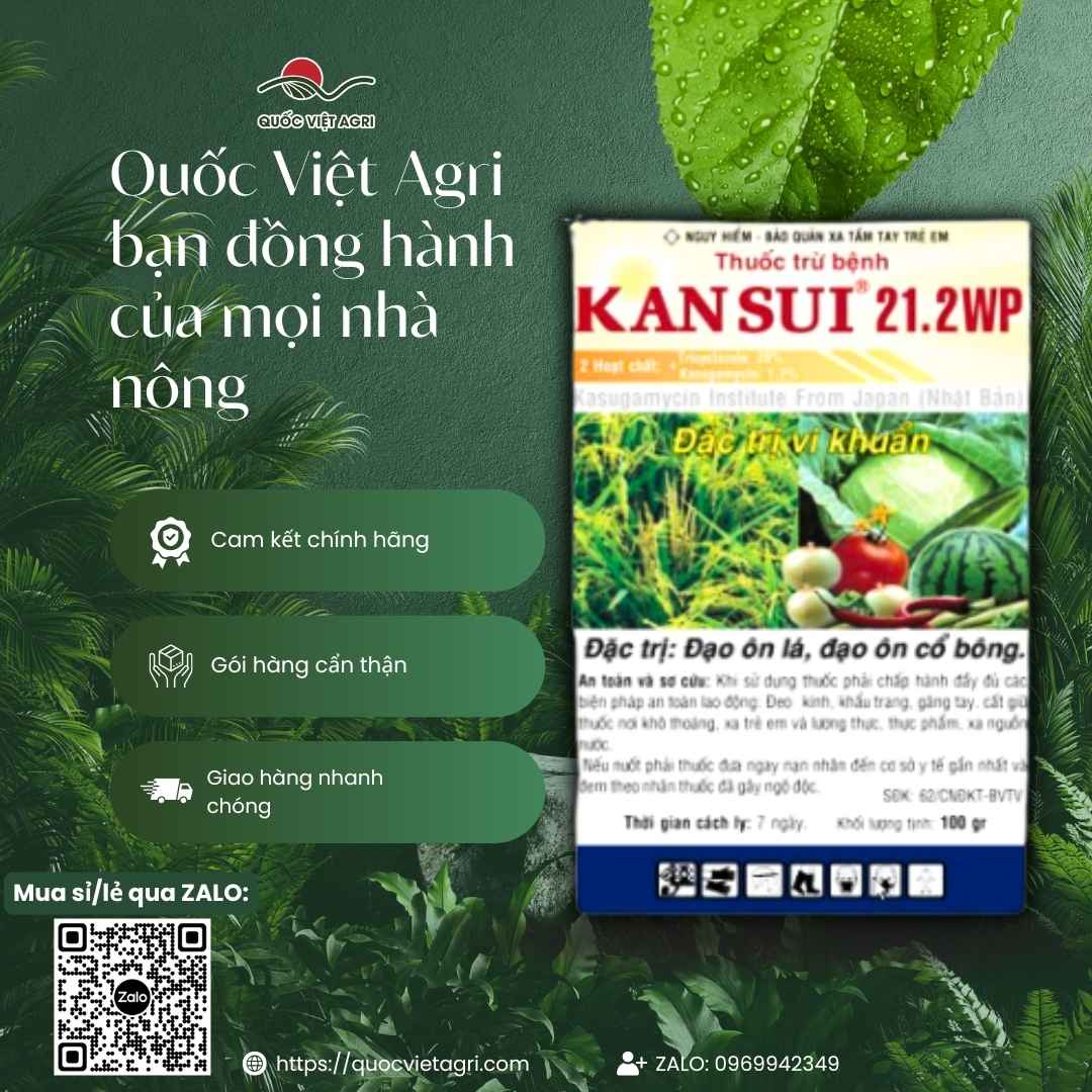 Mặt sau gói thuốc trừ bệnh Kansui 21.2WP 100g, chuyên dùng để đặc trị đạo ôn cổ bông, bạc lá lúa, sản phẩm chính hãng VITHACO.