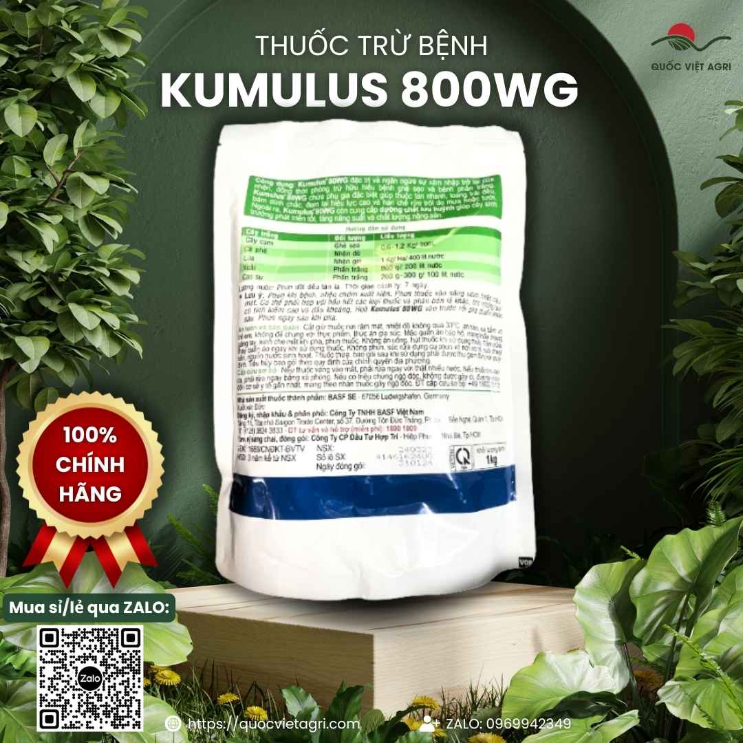 Mặt sau gói Kumulus 80WG với thông tin thành phần Lưu huỳnh và hướng dẫn sử dụng cho cam, xoài, lúa.