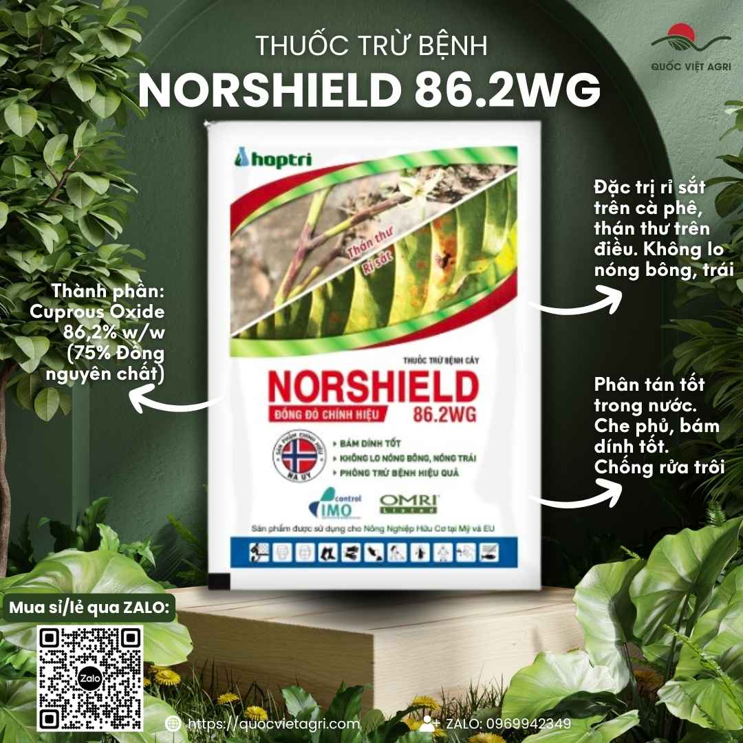 Mặt trước gói thuốc trừ bệnh Norshield 86.2WG 250g, chuyên dùng để trị rỉ sắt cà phê, ghẻ sẹo cam, sản phẩm chính hãng Hợp Trí.