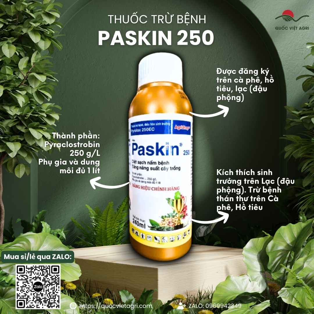 Mặt trước chai thuốc trừ bệnh Paskin 250 (Pyrolax 250EC) 240ml, chuyên dùng để trị thán thư, sương mai, sản phẩm chính hãng.