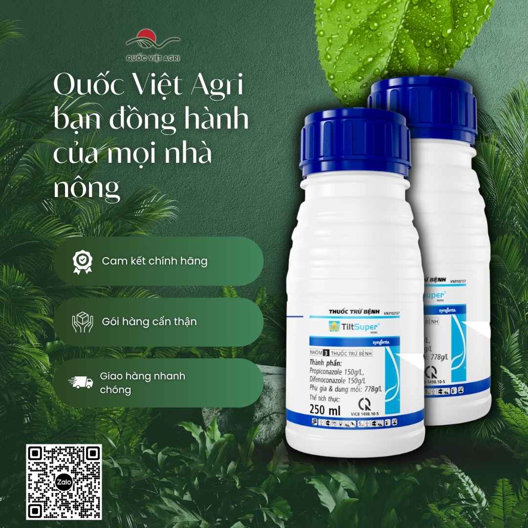 Mặt sau chai thuốc trừ bệnh Tilt Super 300EC 250ml, chuyên dùng để trị lem lép hạt lúa, rỉ sắt cà phê, sản phẩm chính hãng Syngenta.