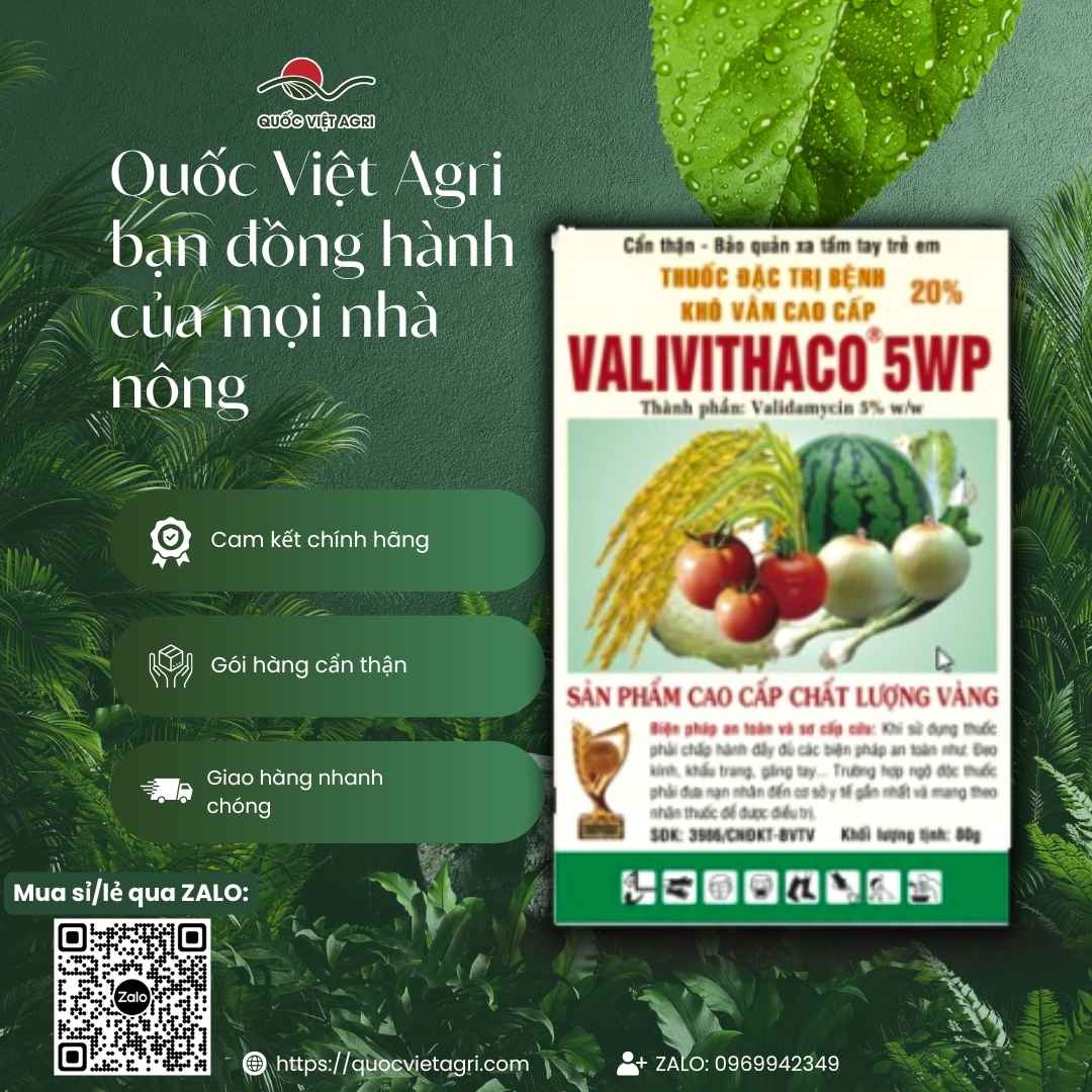 Bảng thành phần Validamycin sinh học an toàn mặt sau bao bì.