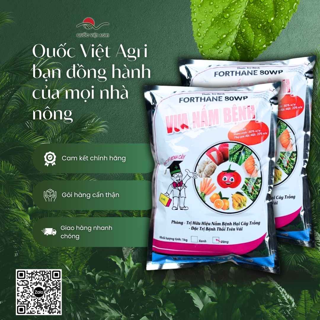 Bột vàng Mancozeb 800g/kg nguyên liệu Ấn Độ siêu bám dính.