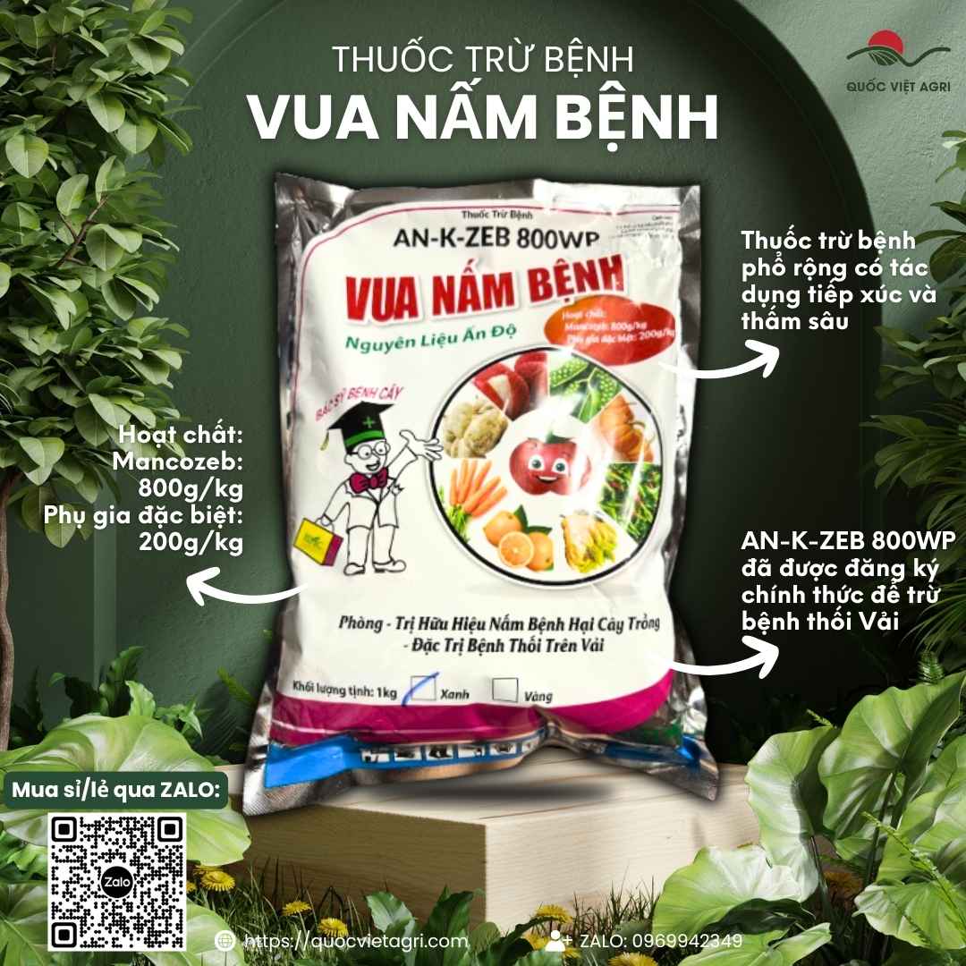 Mặt trước gói thuốc trừ bệnh Vua Nấm Bệnh An-K-Zeb 800WP 1KG, chuyên dùng để trị thán thư, sương mai, sản phẩm bột xanh Ấn Độ.