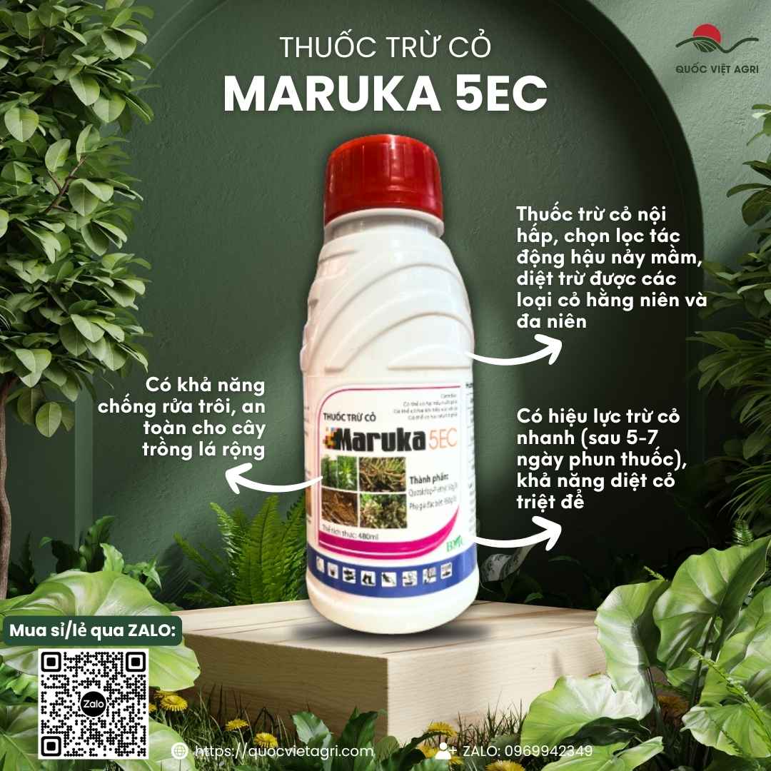 Mặt trước chai thuốc trừ cỏ Maruka 5EC 480ml, chuyên dùng để diệt cỏ lá hẹp trên cây lá rộng, an toàn cho khoai lang.