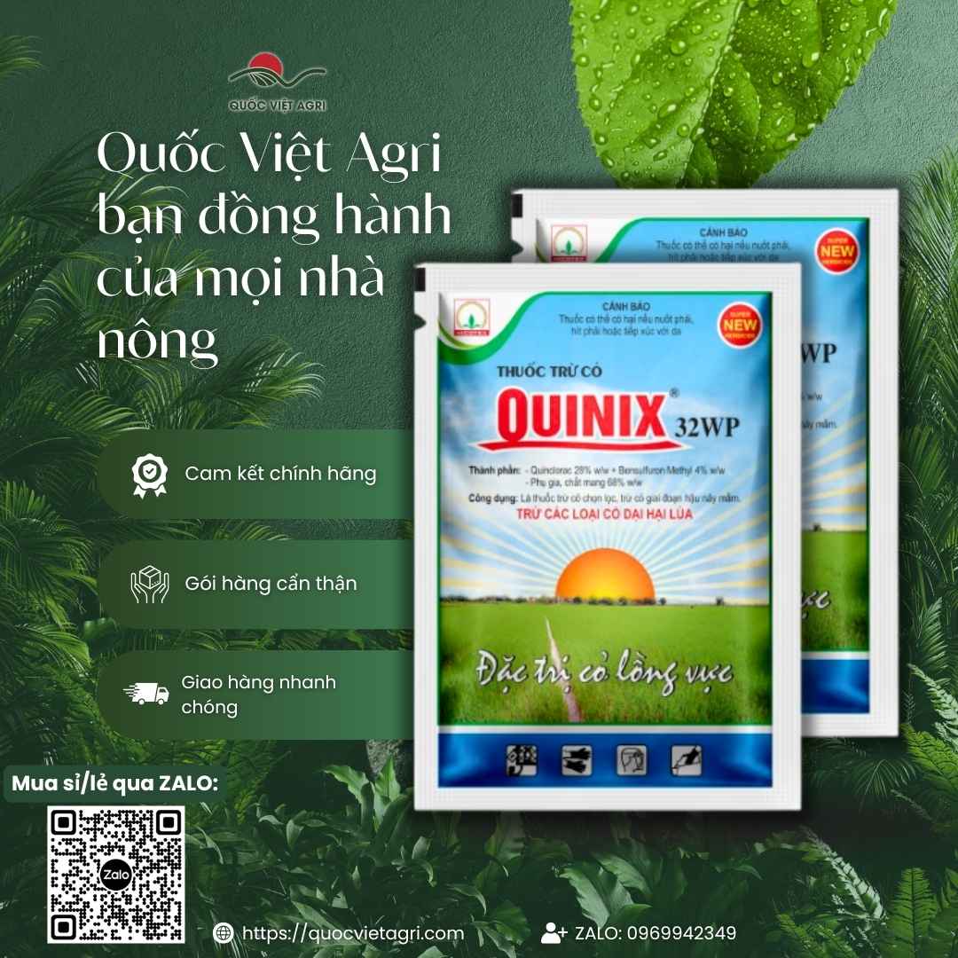 Ảnh tổng quan gói Quinix 32WP với hướng dẫn sử dụng phun hoặc trộn phân rải cho lúa sạ.