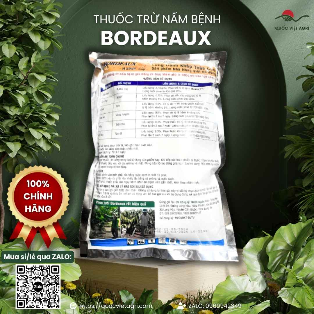 Mặt sau gói thuốc trừ bệnh Bordeaux M 25WP (Boóc Đô) 1KG, chuyên dùng để trị sương mai, ghẻ sẹo, sản phẩm nhập khẩu từ Tây Ban Nha.