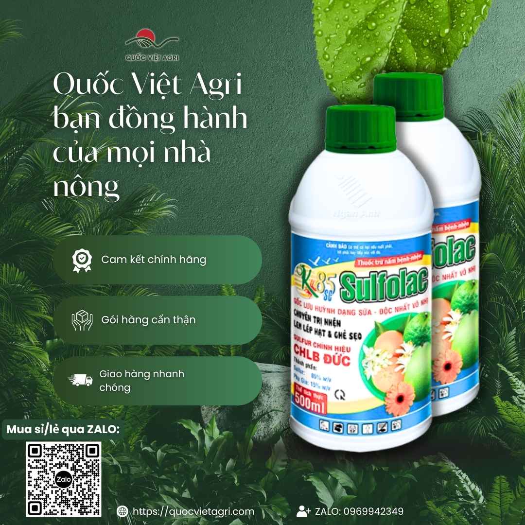 Ảnh tổng quan chai Thuốc trừ nhện OK SULFOLAC 85SC 500ml, lưu huỳnh dạng sữa từ Đức.