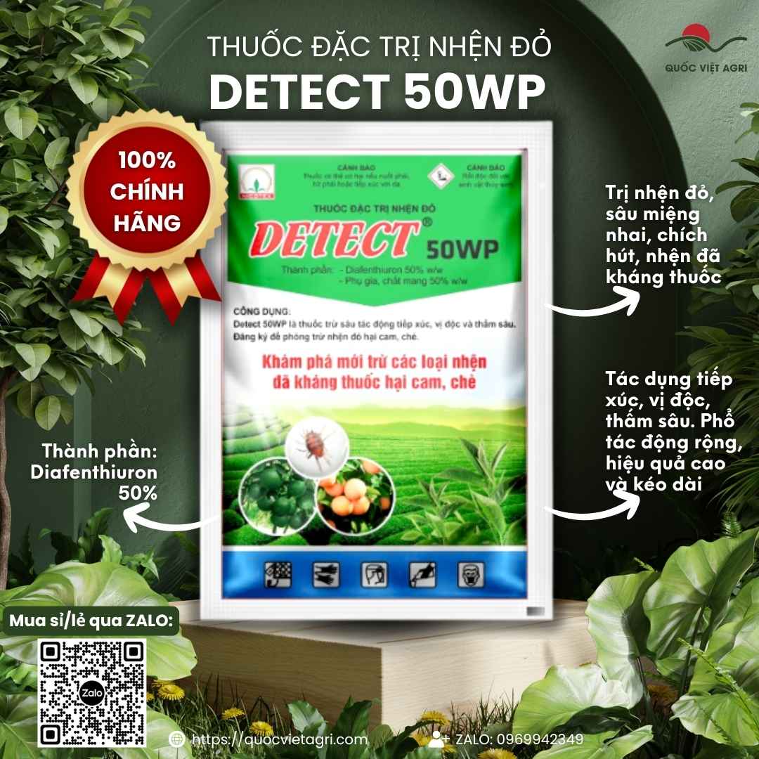 Mặt trước gói thuốc trừ nhện Detect 50WP 100g, chuyên dùng để đặc trị nhện đỏ hại cam, chè, sản phẩm chính hãng Nicotex.