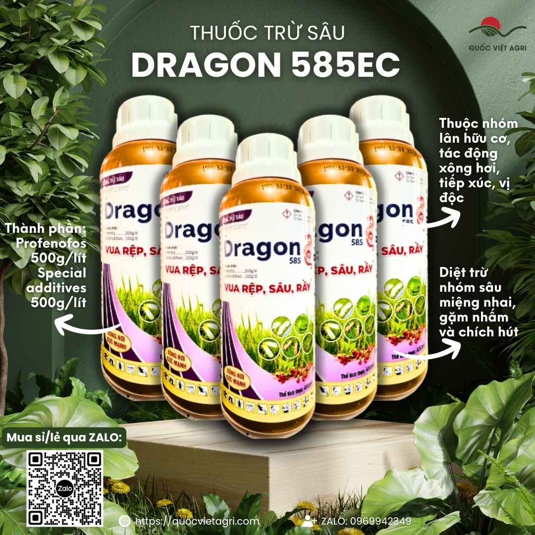 Hình ảnh combo 5 chai thuốc trừ sâu Dragon 585EC 450ml, giải pháp tiết kiệm cho nhà nông trồng diện tích lớn.