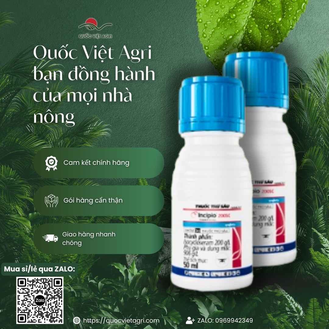 Bảng thành phần Isocycloseram 200g/l trị sâu cuốn lá mặt sau chai.