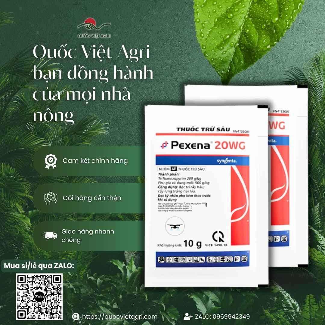 Hình ảnh tổng quan sản phẩm thuốc trừ rầy Pexena 20WG 10g, giải pháp "khóa miệng rầy" thế hệ mới từ Quốc Việt Agri.