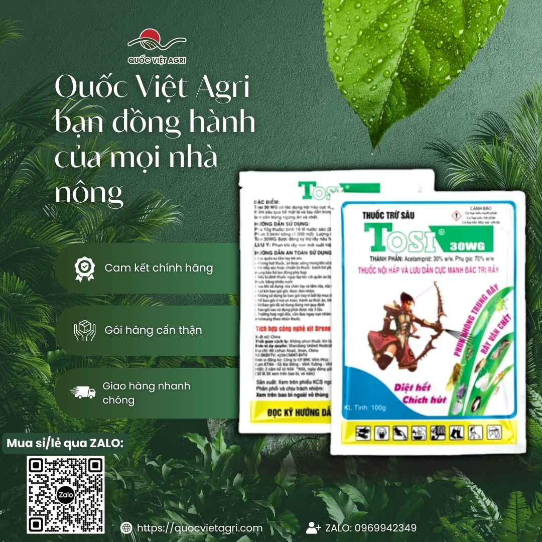 Hình ảnh tổng quan sản phẩm thuốc trừ sâu Tosi 30WG 100g, giải pháp thuốc trừ sâu lưu dẫn diệt côn trùng chích hút từ Quốc Việt Agri.