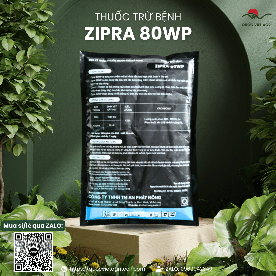 Mặt sau bao bì hiển thị hướng dẫn liều lượng