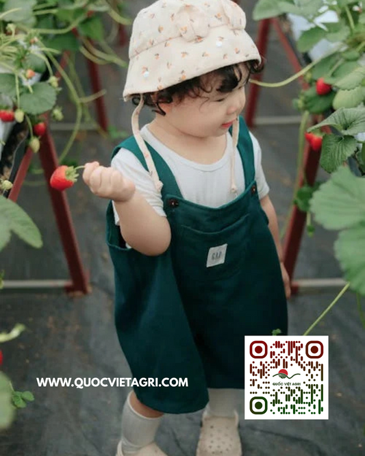 quốc việt agri đồng hành cùng trẻ em và nông nghiệp