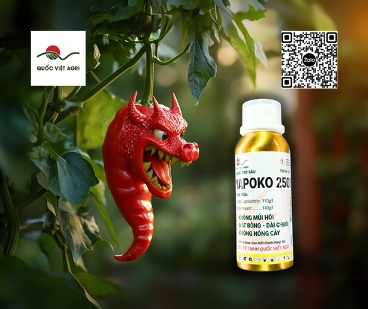 Trồng Ớt Hữu Cơ Cùng Quốc Việt Agri (Phần 5) : Kiểm Soát Cỏ Dại và Sâu Bệnh