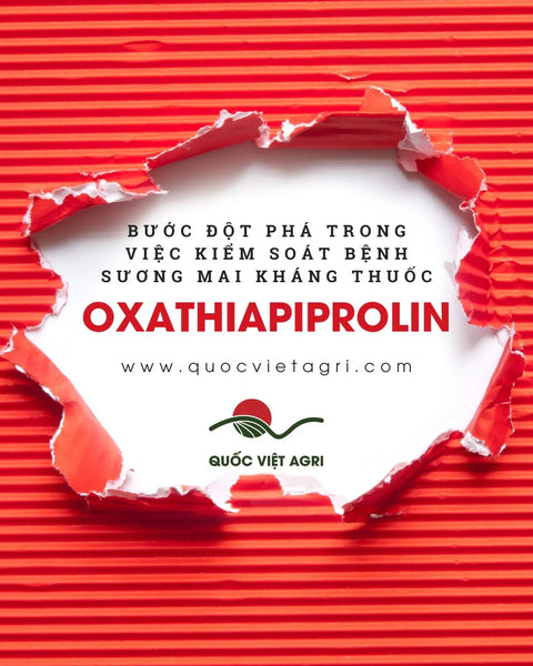 Oxathiapiprolin: Bước Đột Phá Trong Việc Kiểm Soát Bệnh Sương Mai Kháng Thuốc