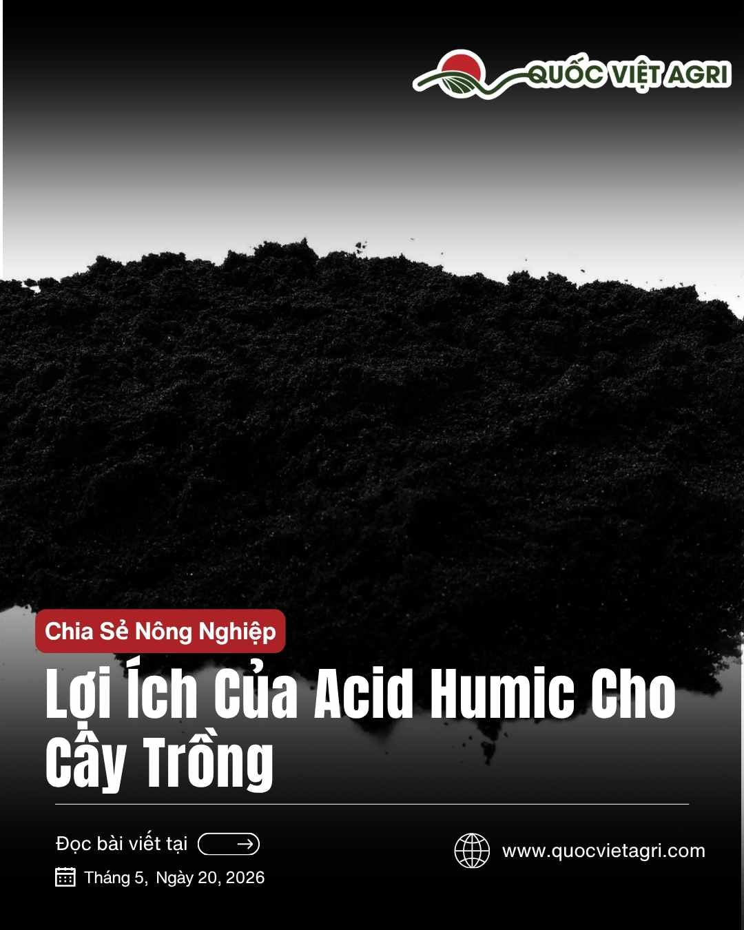 hình ảnh cho bài viết về lợi ích của acid humic cho cây trồng