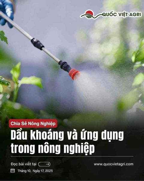 Dầu khoáng và ứng dụng trong nông nghiệp hiện đại: Cơ chế, công dụng và cách sử dụng an toàn