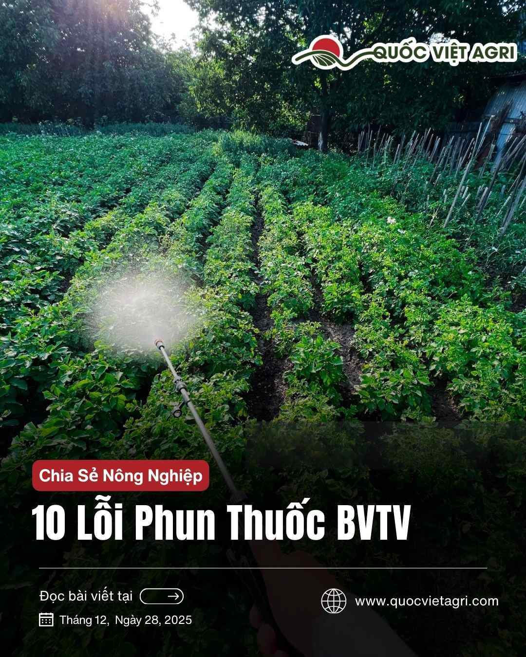 Alt text: Ảnh bìa bài viết Checklist 10 lỗi phun thuốc BVTV khiến cháy lá và giảm hiệu lực, Quốc Việt Agri.