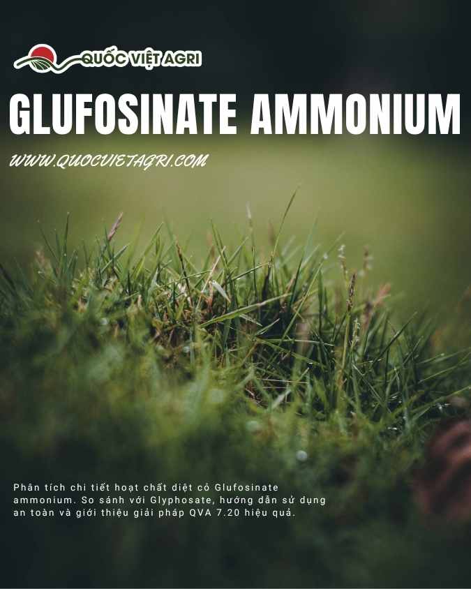 Glufosinate Ammonium: Phân Tích Hoạt Chất Diệt Cỏ Phổ Rộng và Chiến Lược Sử Dụng Hiệu Quả