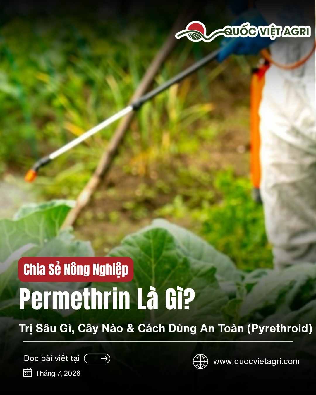 Ảnh bìa bài viết Permethrin Là Gì? Trị Sâu Gì, Cây Nào & Cách Dùng An Toàn — nông dân phun thuốc, của Quốc Việt Agri