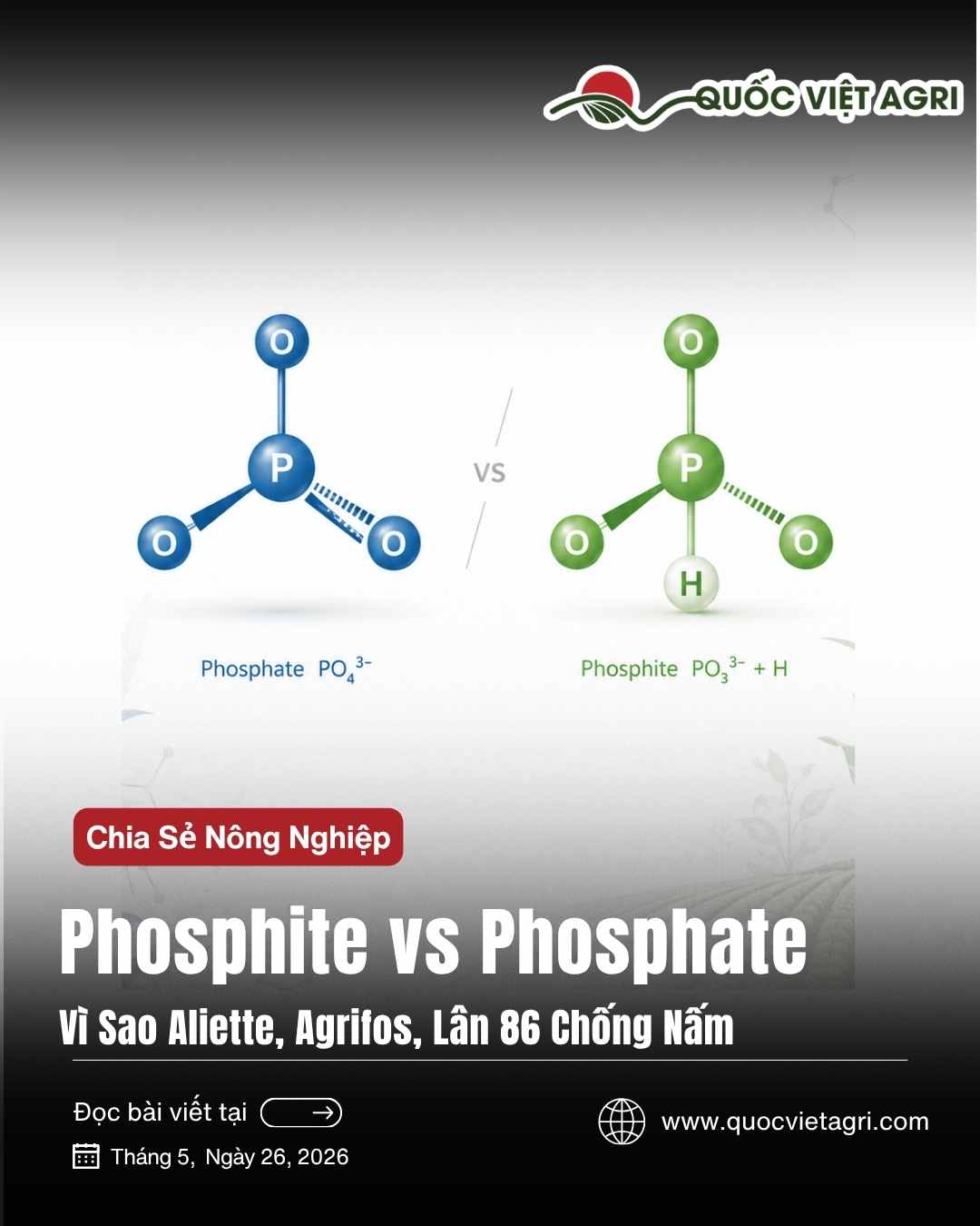 Hình ảnh minh họa cho bài viết về sự khác biệt giữa phosphite và phosphate