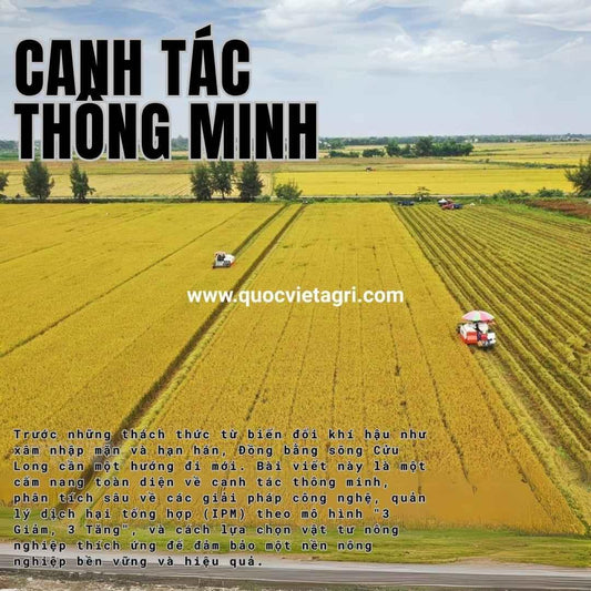 Tiêu đề cho canh tác thông minh tại đồng bằng sông cửu long