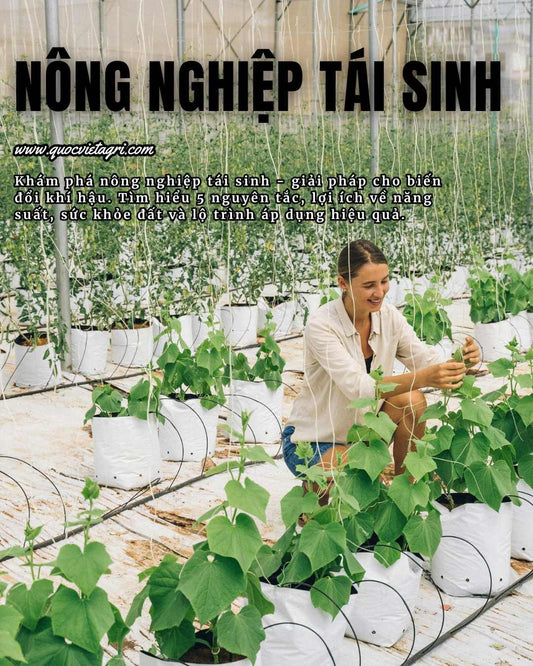 Bài viết về nông nghiệp tái sinh (regenerative agriculture) của quốc việt agri