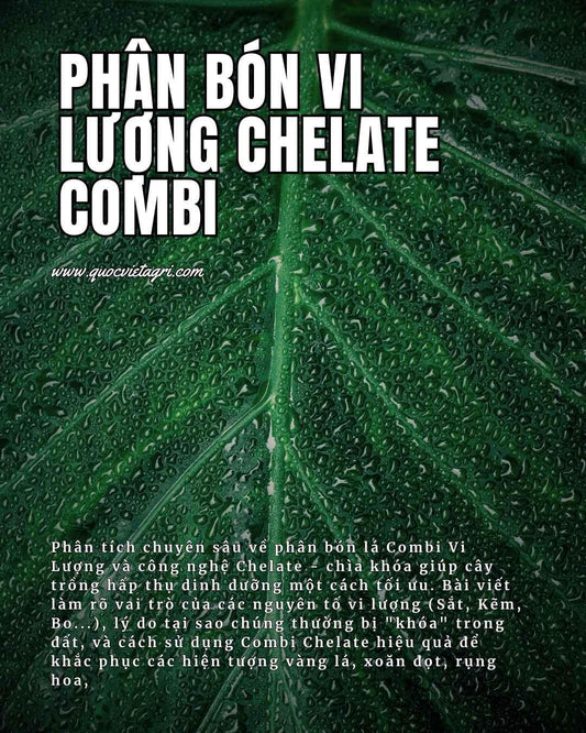 tittle cho bài viết phân tích về phân bón vi lượng combi