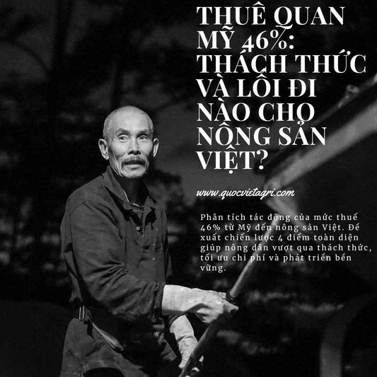 Thuế Quan Mỹ 46%: Thách Thức và Lối Đi Nào Cho Nông Sản Việt?
