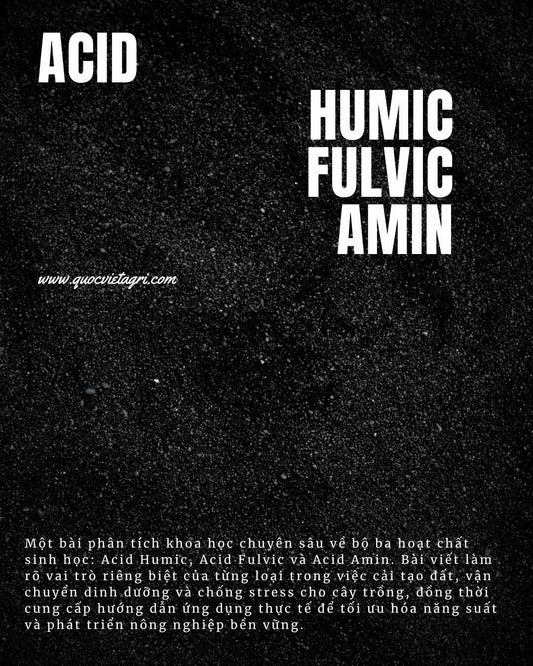 Acid Humic, Fulvic & Amin: Phân Tích "Bộ Ba Quyền Lực" Trong Nông Nghiệp Hiện Đại