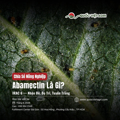 Abamectin Là Gì? Hoạt Chất Từ Mẫu Đất Dẫn Tới Giải Nobel 2015