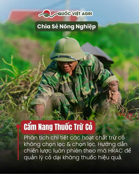 Cẩm Nang Toàn Diện Về Thuốc Trừ Cỏ: Phân Loại, Sử Dụng An Toàn và Quản Lý Tính Kháng