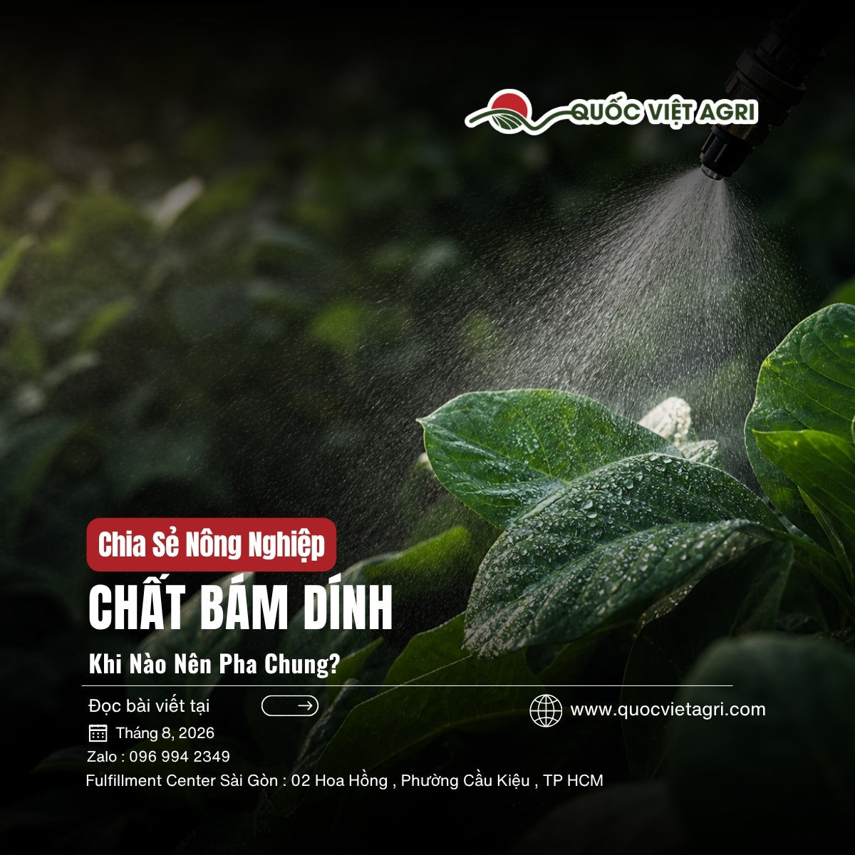 Chất bám dính nông nghiệp - ảnh bìa bài viết QVA