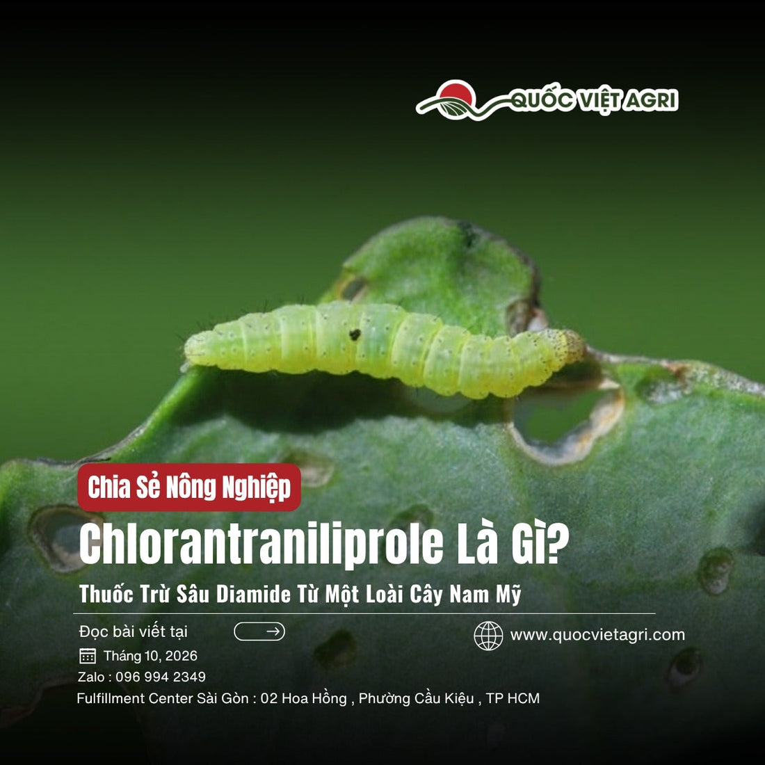 Chlorantraniliprole là gì – sâu tơ non ăn lá cải