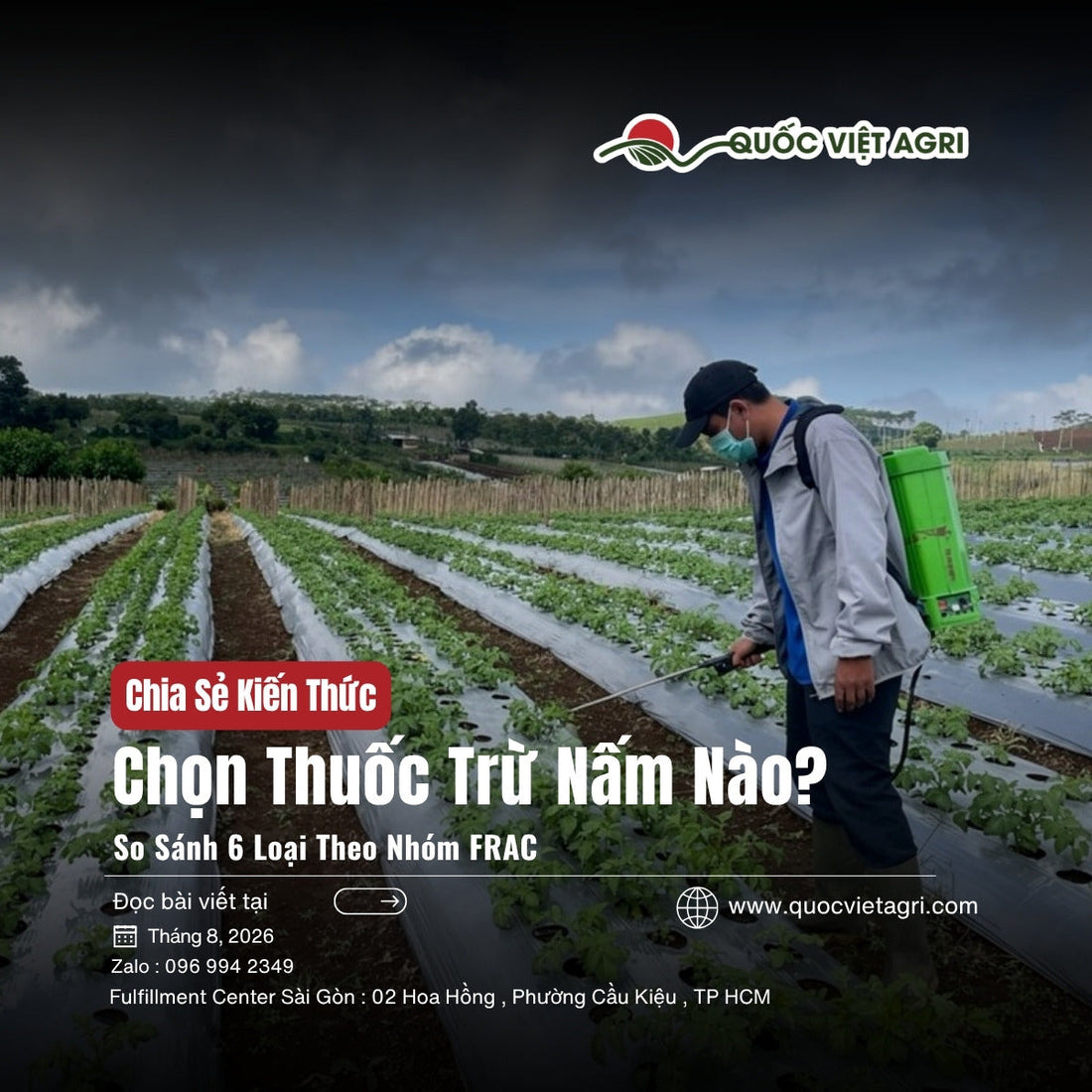 Chọn thuốc trừ nấm theo nhóm FRAC - ảnh bìa bài viết QVA